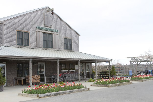 Not pictured: The awesome picnic spot to the left. D'oh!